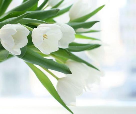 Kaune bus pagerbti nusipelnę medicinos bendruomenės atstovai