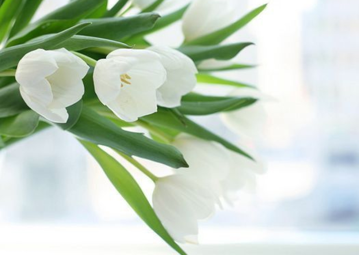 Kaune bus pagerbti nusipelnę medicinos bendruomenės atstovai